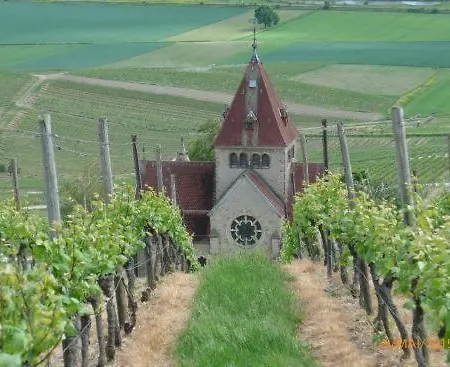 Natali * Gau-Bickelheim
